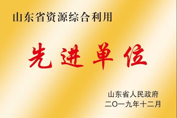 山東省資源綜合利用先進(jìn)單位