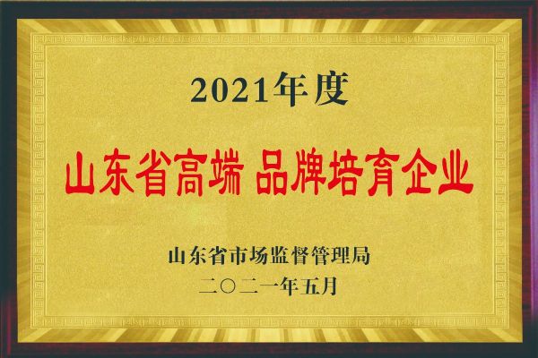 山東省高端 品牌培育企業(yè)
